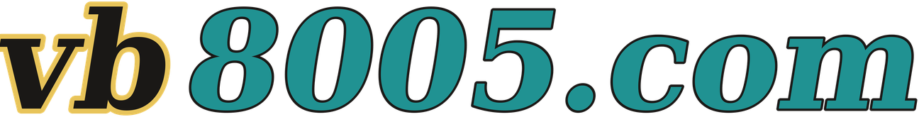 vb8005.com logo